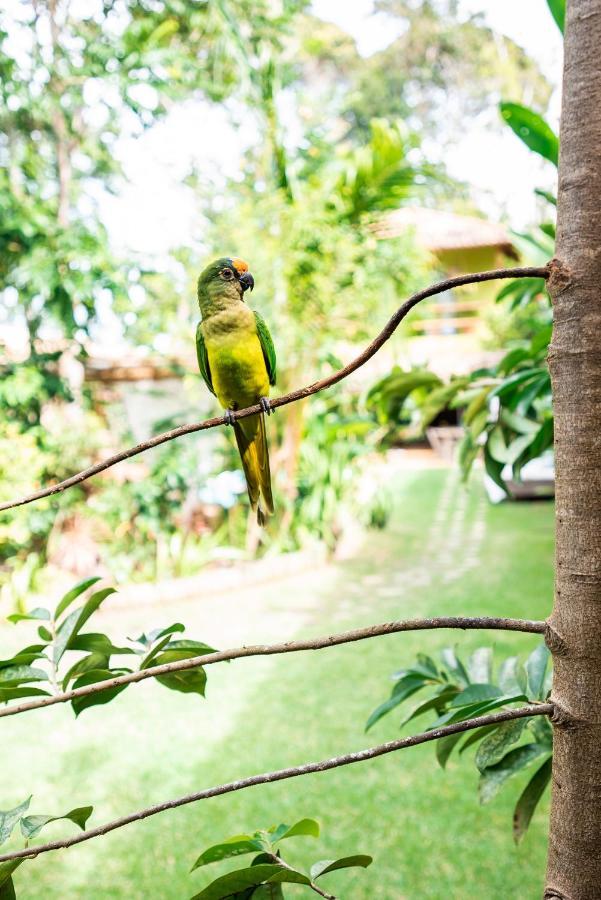 Pousada Casa Das Janas Trancoso Kültér fotó